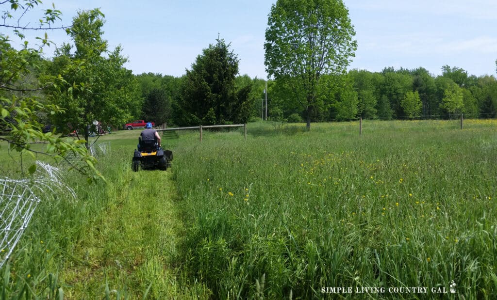 a man mowing the grass near to a fence line