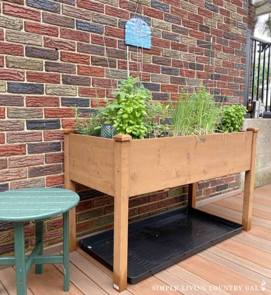 a raised bed of herbs and vegetables growing on a raised garden table copy
