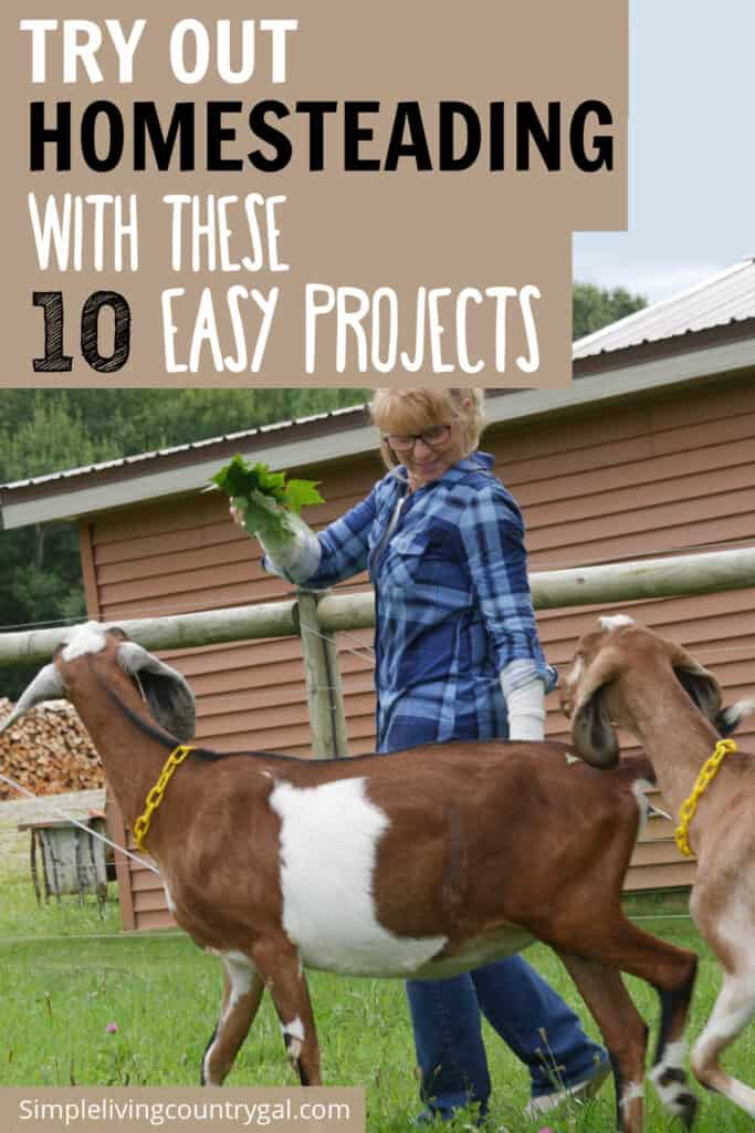 beginner homestead projects