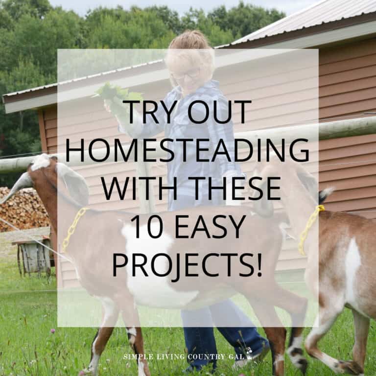 beginner homestead Projects