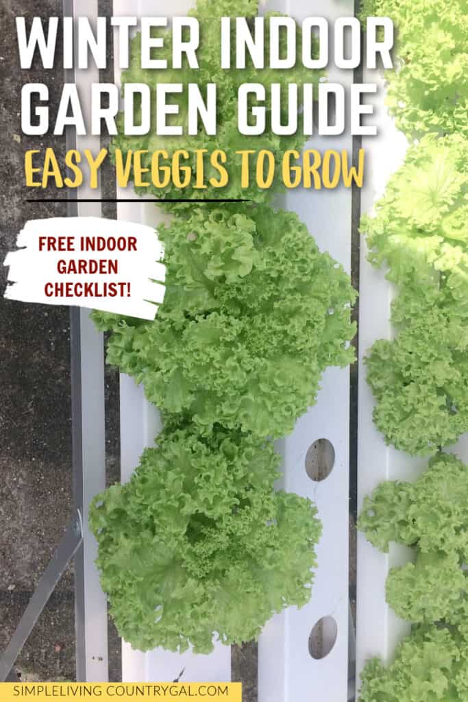 best indoor vegetable plants