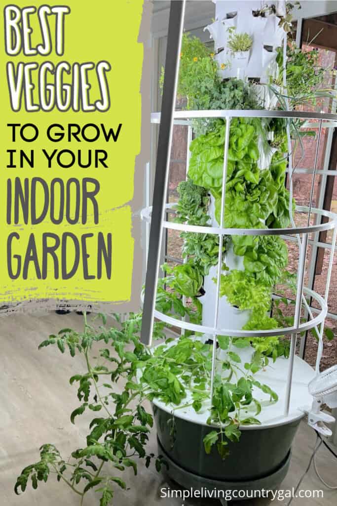 best indoor vegetable plants