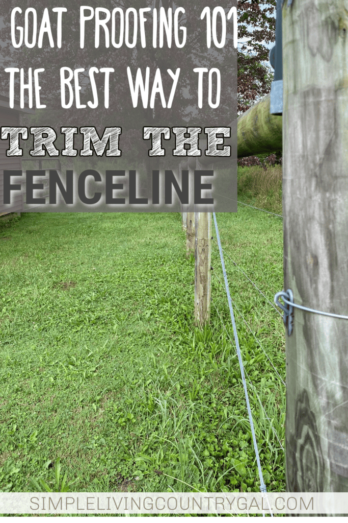 best way to trim the fence line