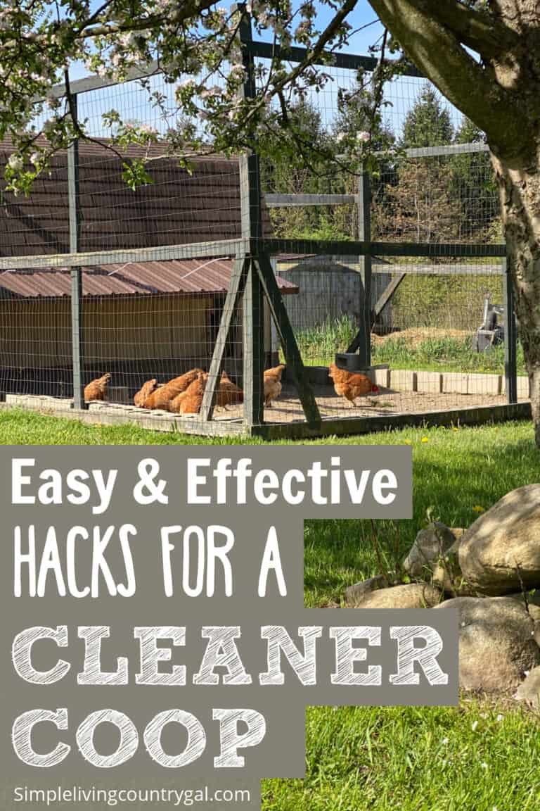 chicken coop cleaning hacks Simple Living Country Gal