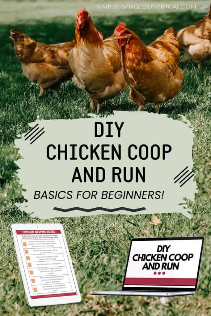 diy chicken coop and run