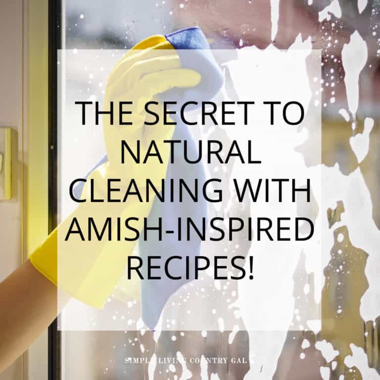 diy cleaners from the Amish
