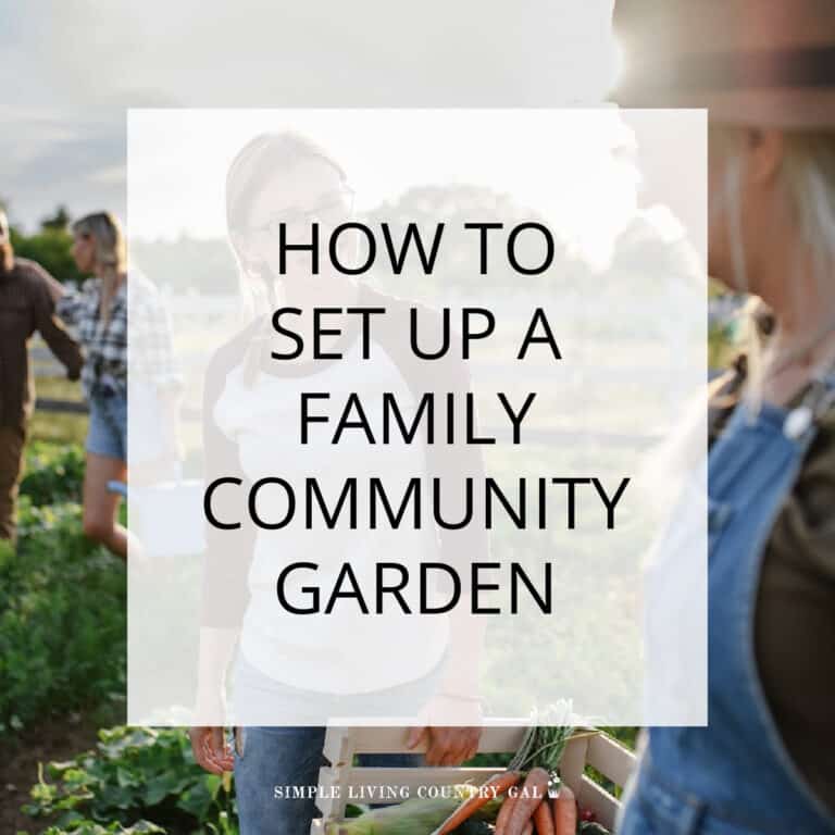 How to Grow a Family Garden