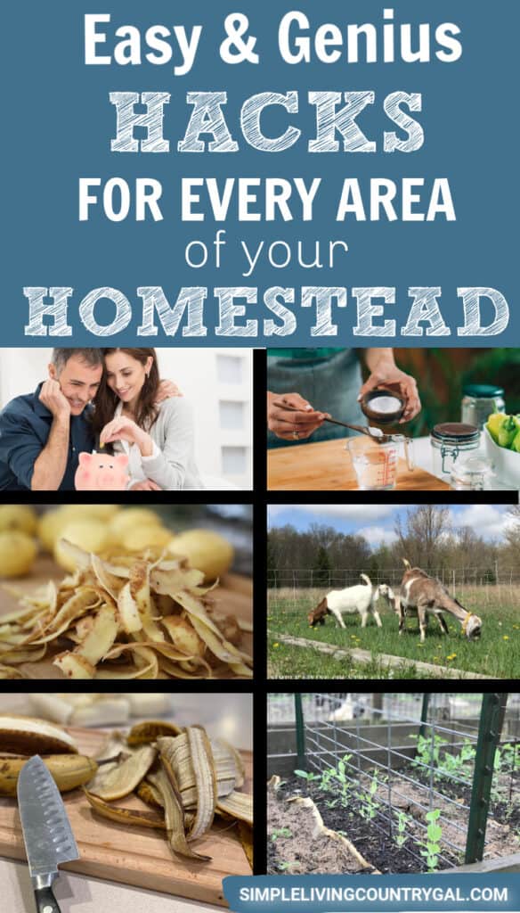 a collage of images with the words "easy and geninus hacks for every area of your homestead"