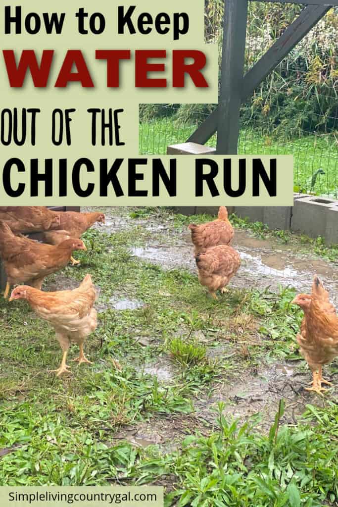 how to keep chicken run dry