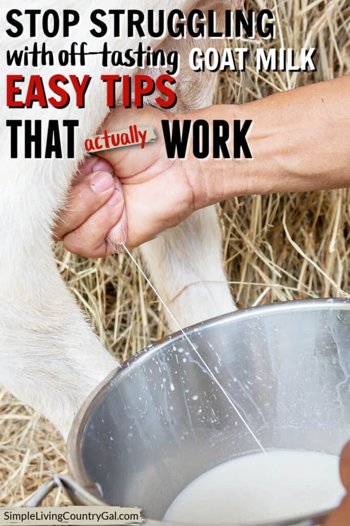 how to make goat milk taste better