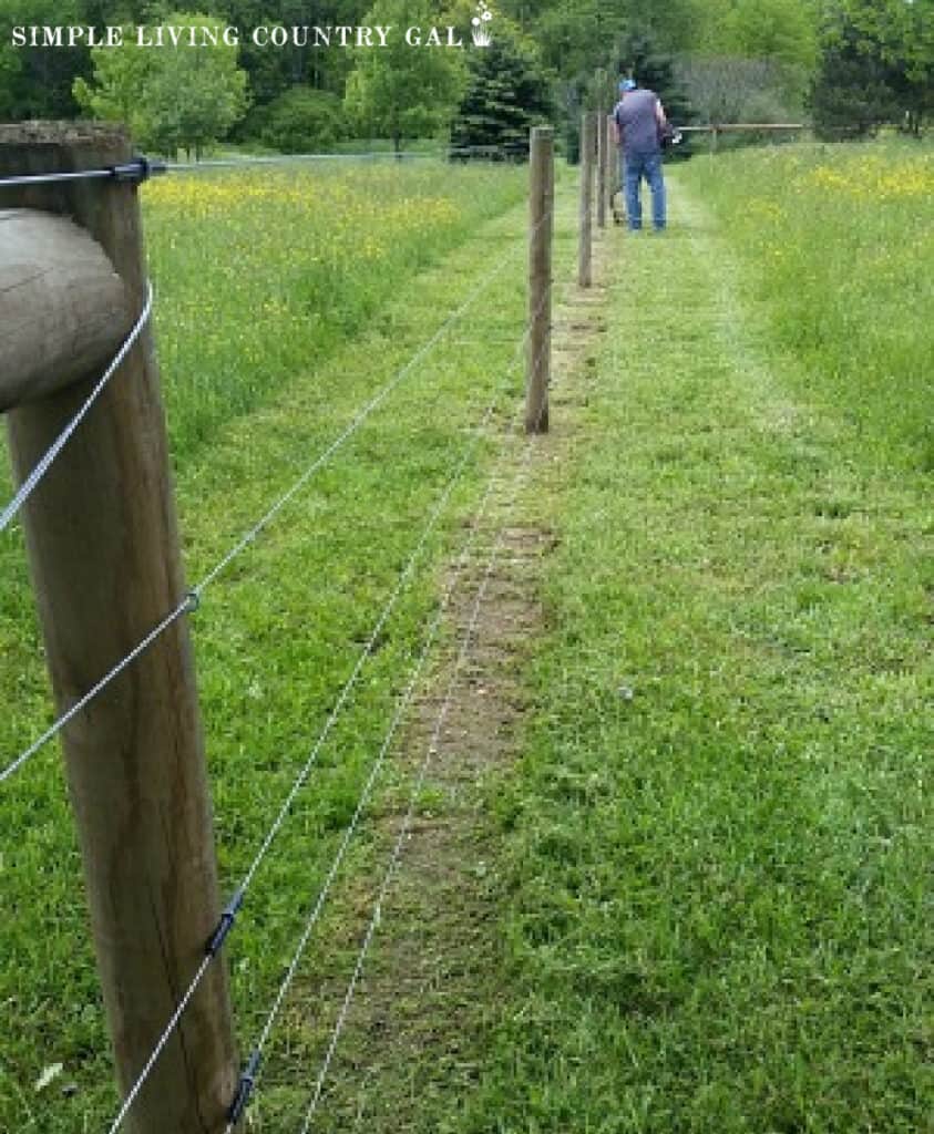 man in the distance trimming the fence line in a pasture