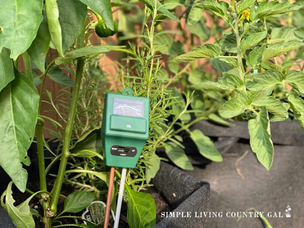 soil temp and water monitor at the. base of a pepper plant