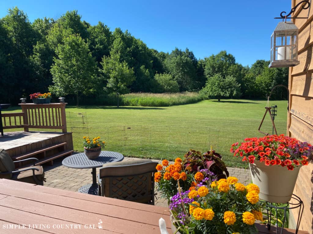 view of a back deck with flowers in front and woods in the distance