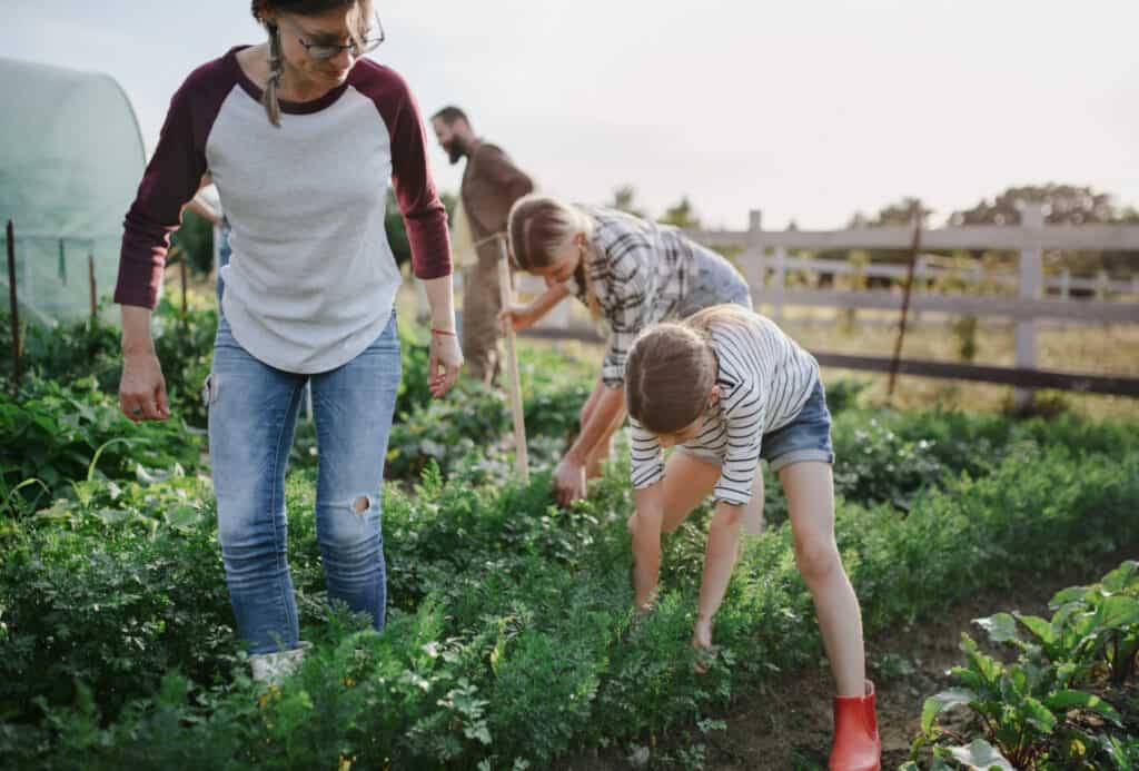 a young family weeding in a community garden