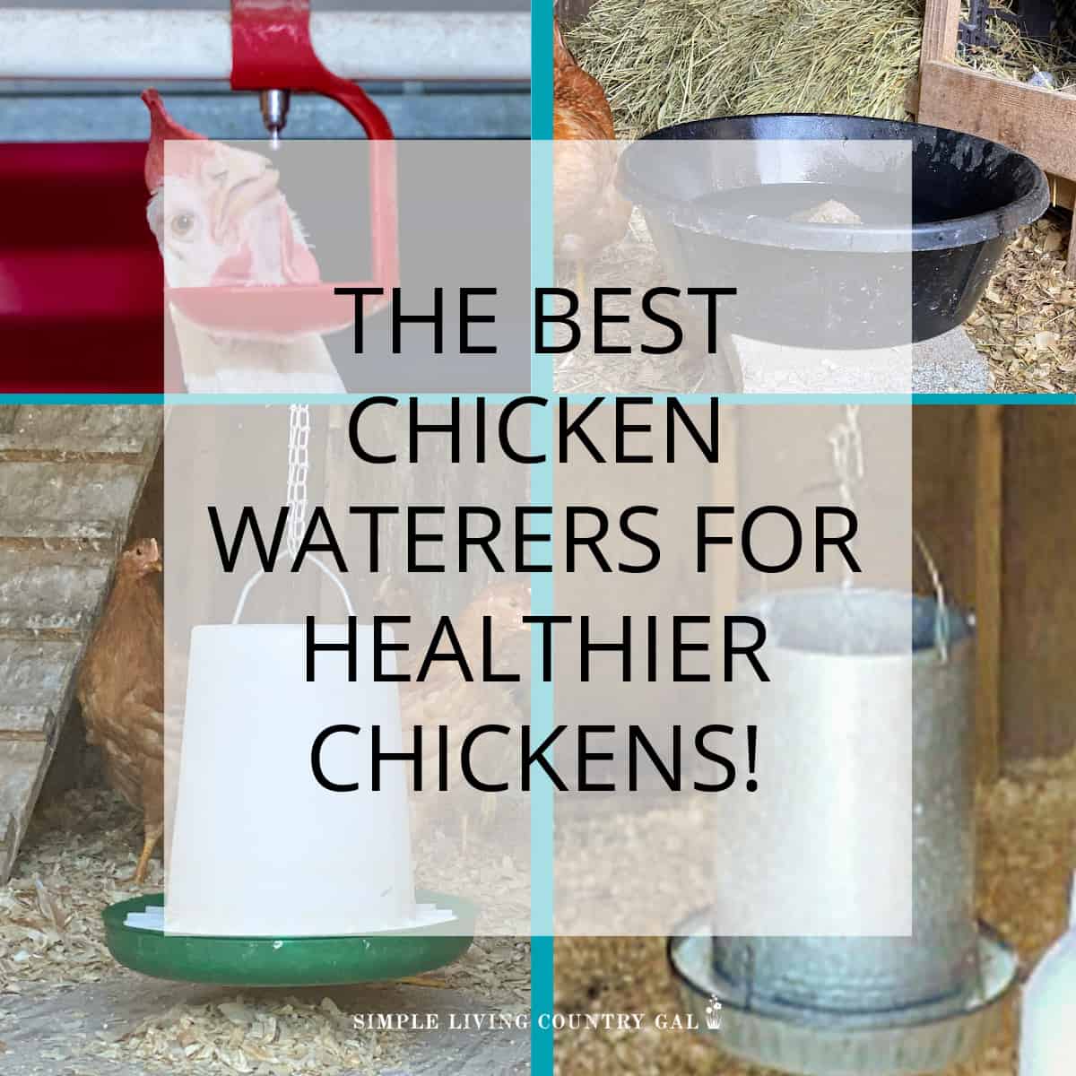 best chicken watering system | Simple Living Country Gal