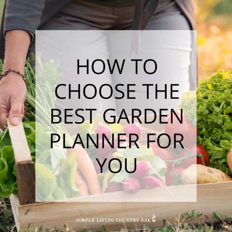 Best garden planners