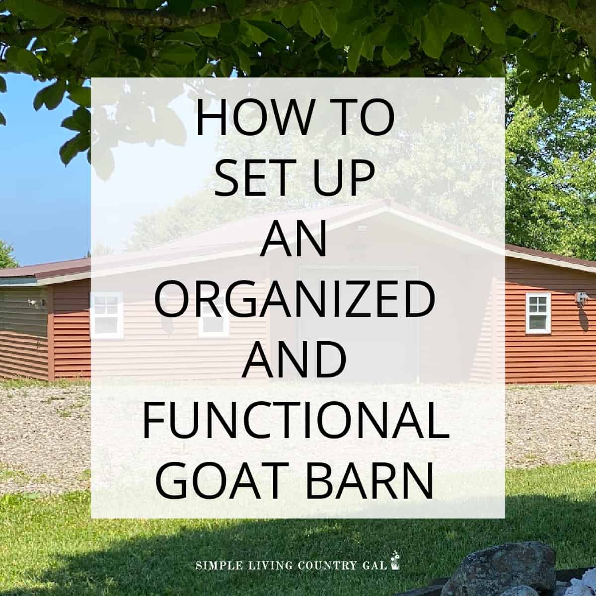 Goat Barn Set Up Simple Living Country Gal