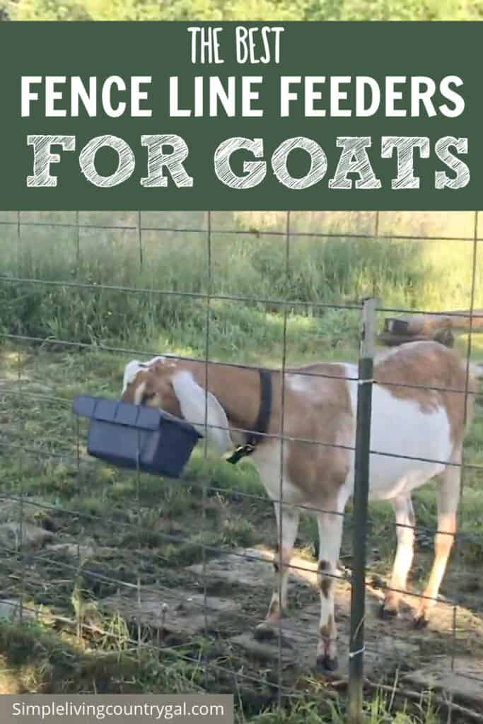 Goat Fence Line Feeder