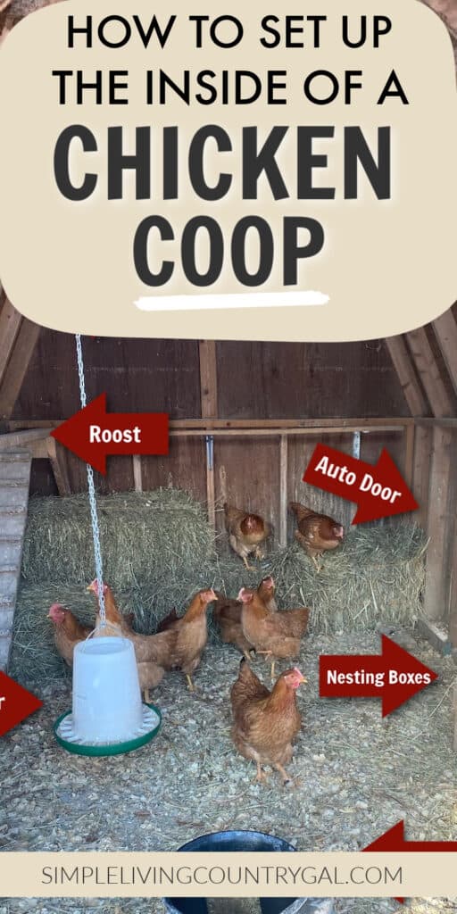 INSIDE CHICKEN COOP LAYOUT
