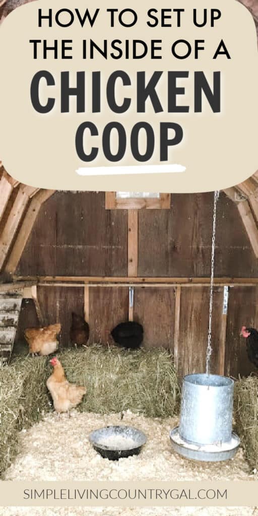 INSIDE CHICKEN COOP LAYOUT