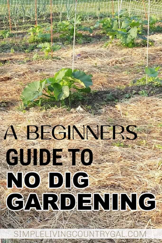 NO DIG GARDENING