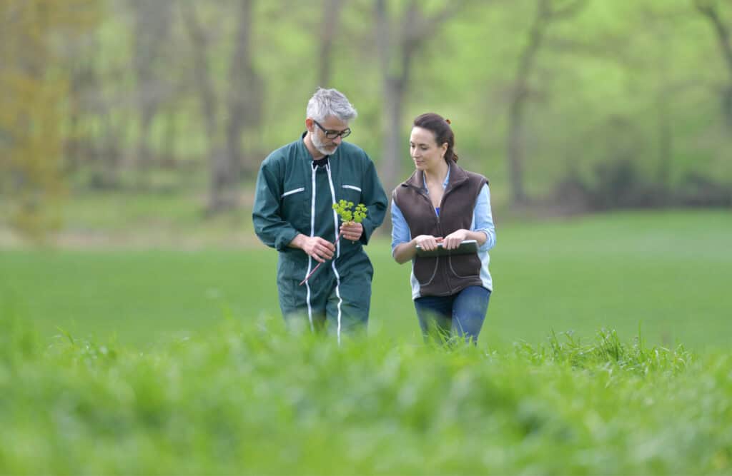 a couple waling a pasture talking