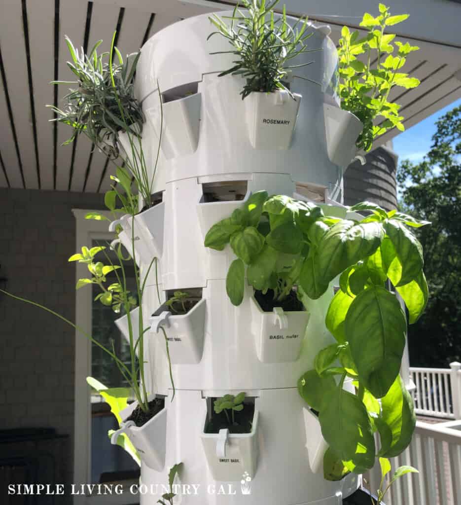 a hydroponic growing stand on a back porch