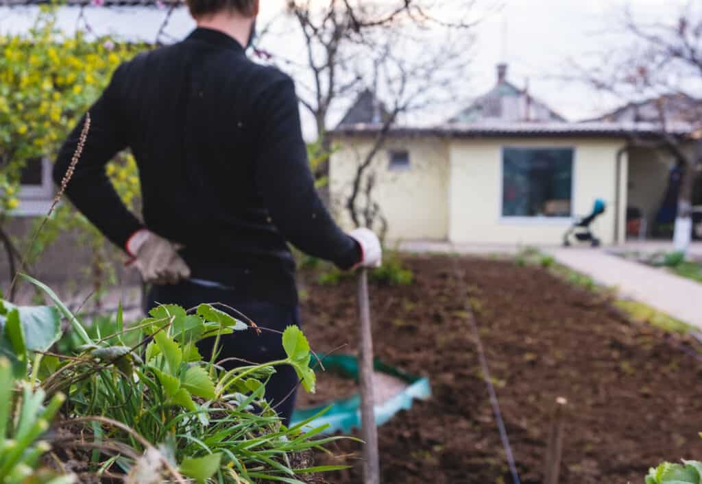 Man with shovel in garden. Back pain during work in garden