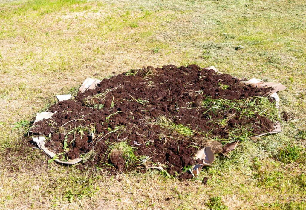 a patch of grass with organic items layers. soil on top of a layer of newspaper