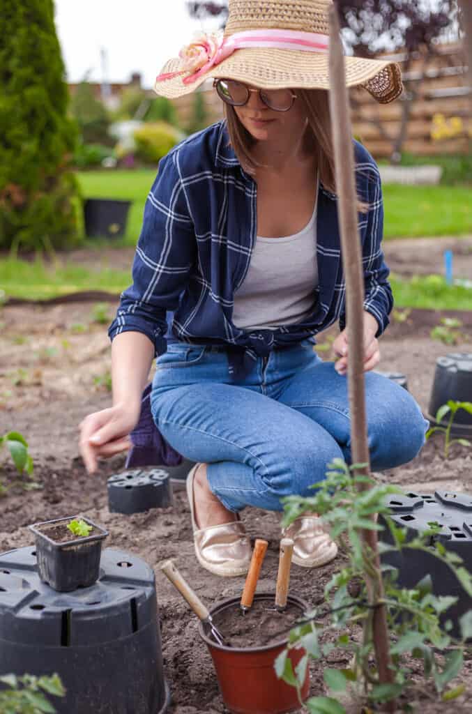 a woman planting tomato plants in a backyard garden