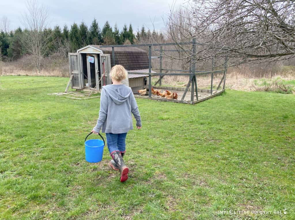 a woman walking to the coop with a blue bucket