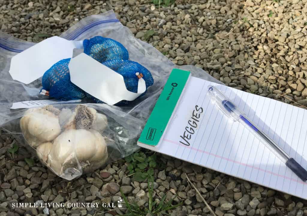 bag of garlic next to a pad of paper with the word veggies