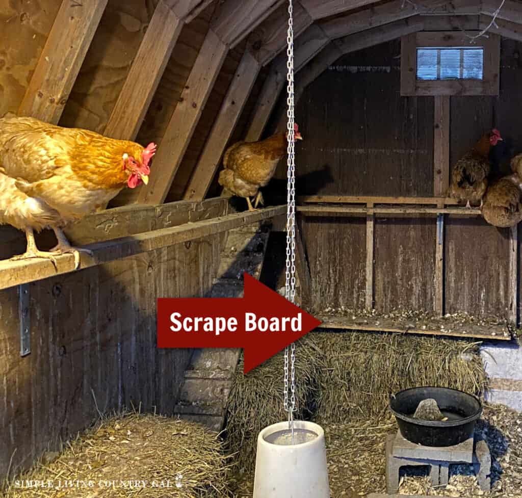 a red arrow pointing to a scrape board under a roost inside of a chicken coop
