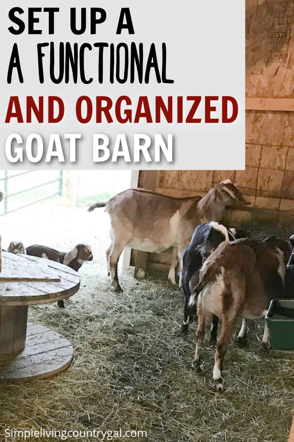 goat-barn-set-up-simple-living-country-gal