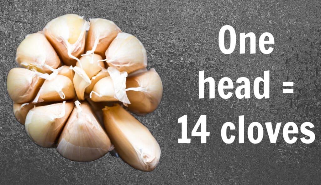an overview of a garlic head with the words: 1 head = 14 cloves