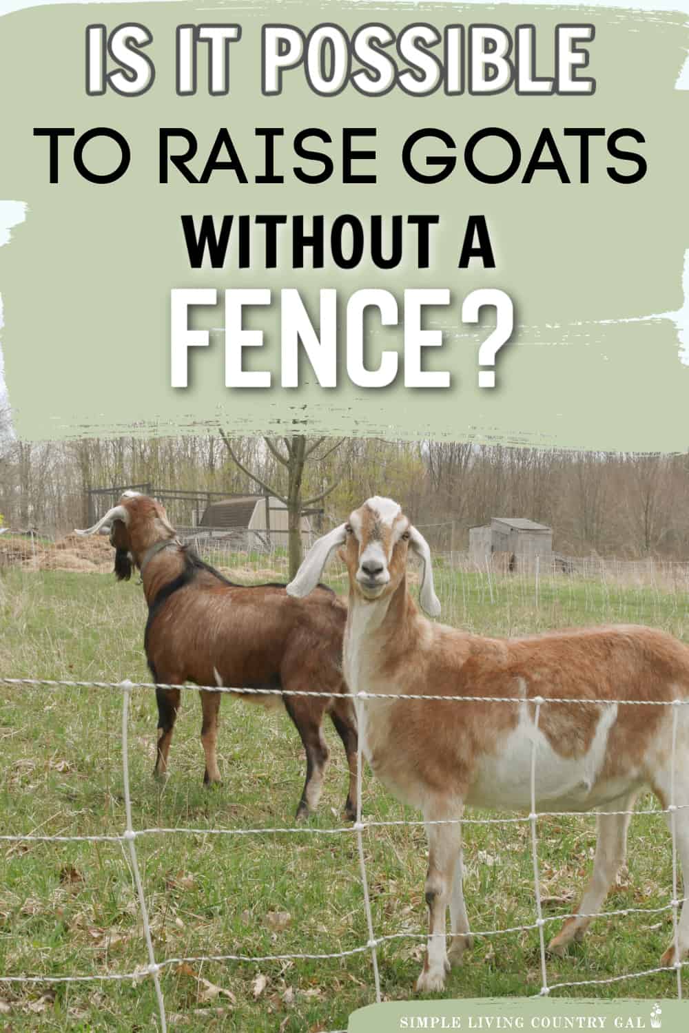 how to keep goats without a fence Simple Living Country Gal