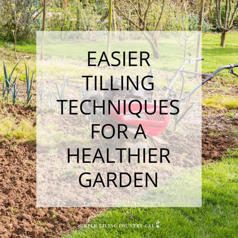 how to rototill your garden