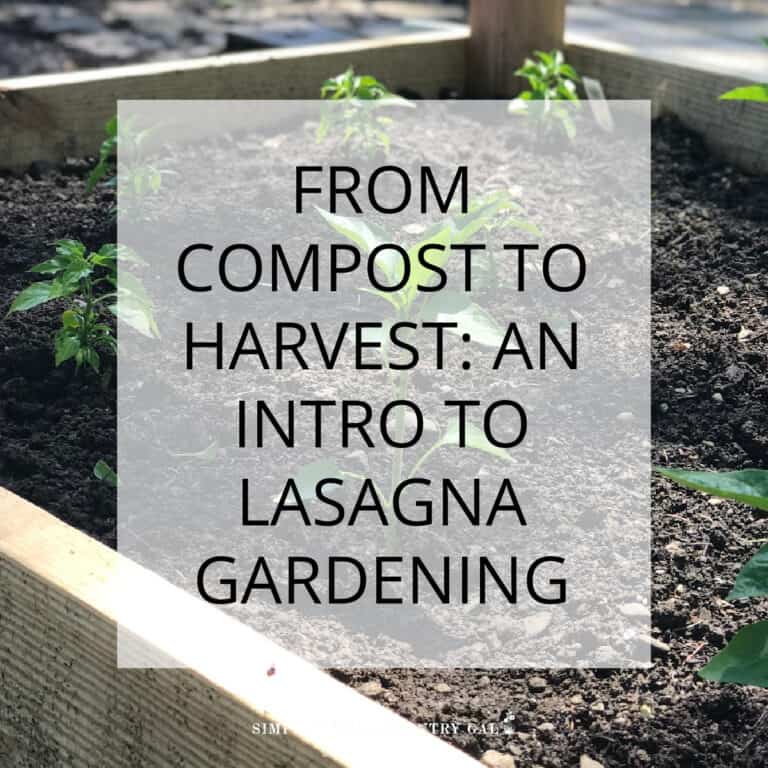 pros and cons of lasagna gardening