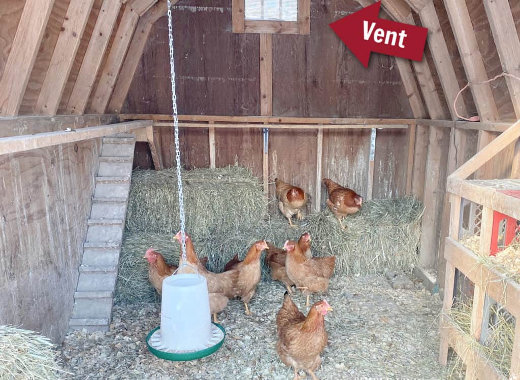 red arrow pointing to a vent near to the ceiling in a chicken coop