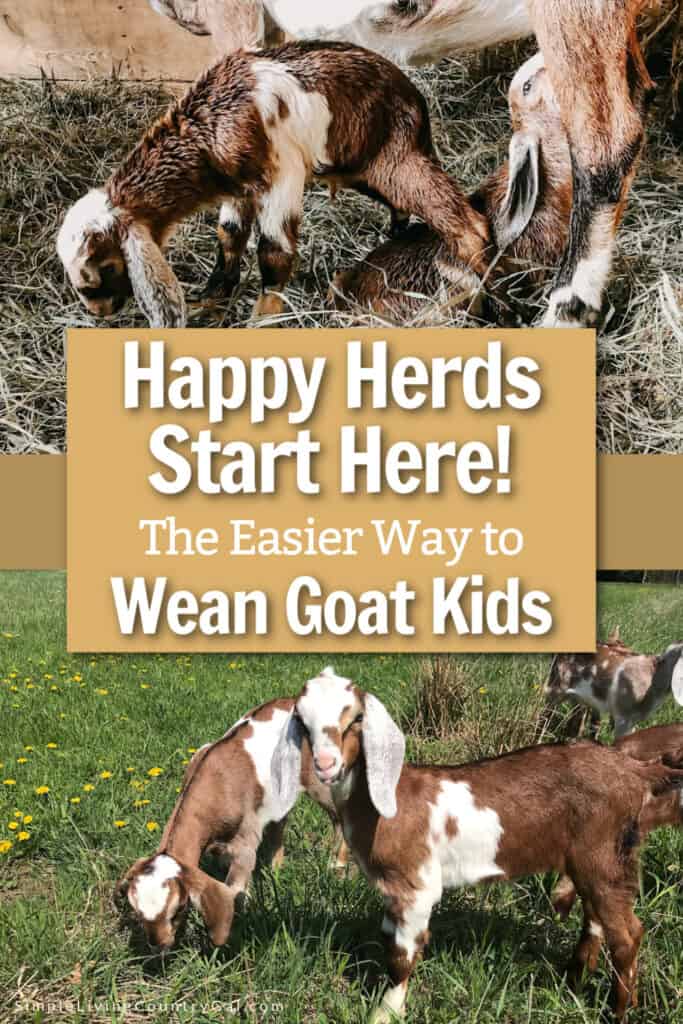 when and how to wean goat kids