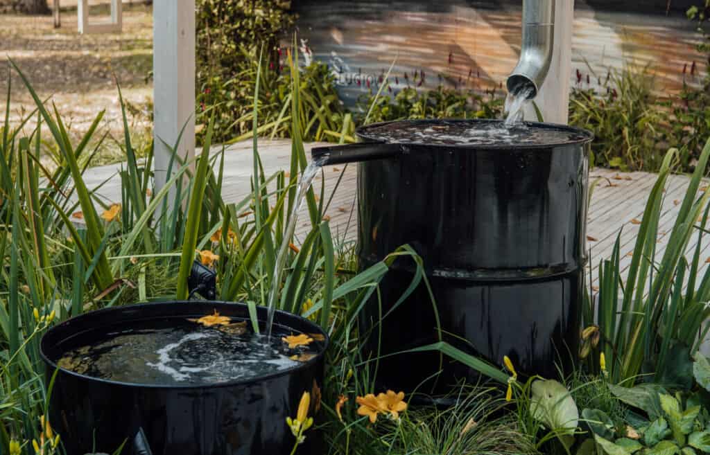 two rain barrels full of water in a garden