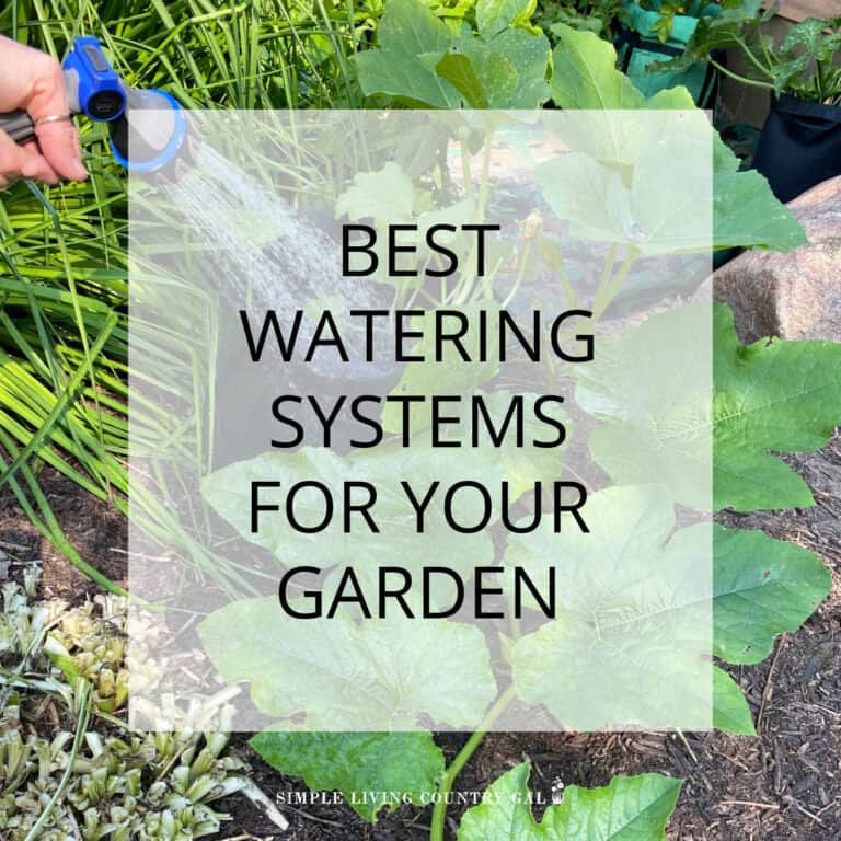 Best Watering Systems for a Garden