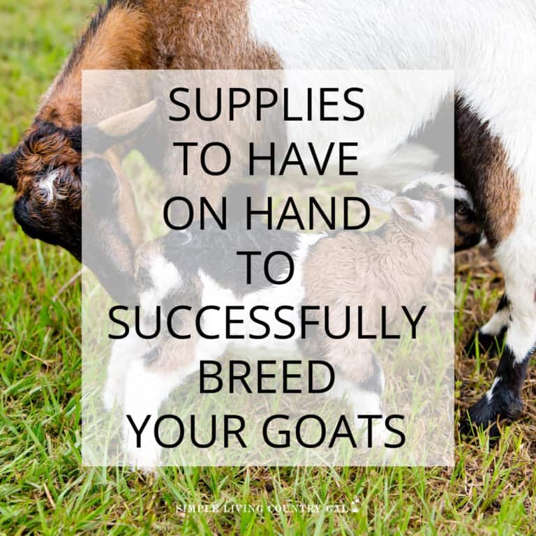 Goat Breeding Supplies