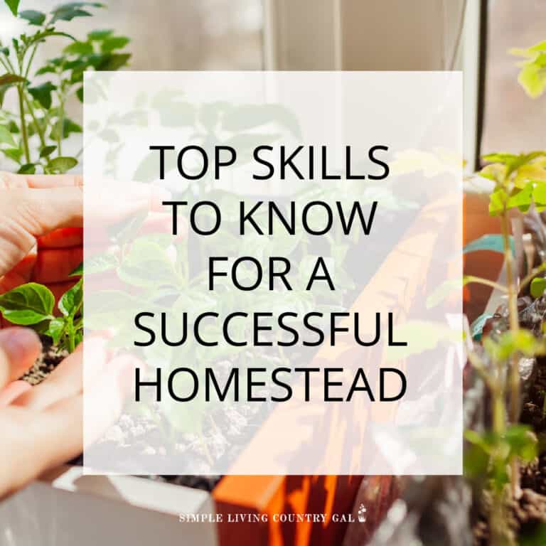 homesteading skills list