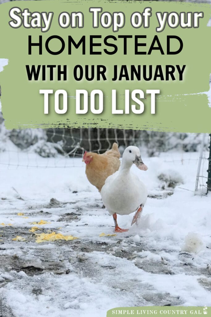 January Homesteading to-do List