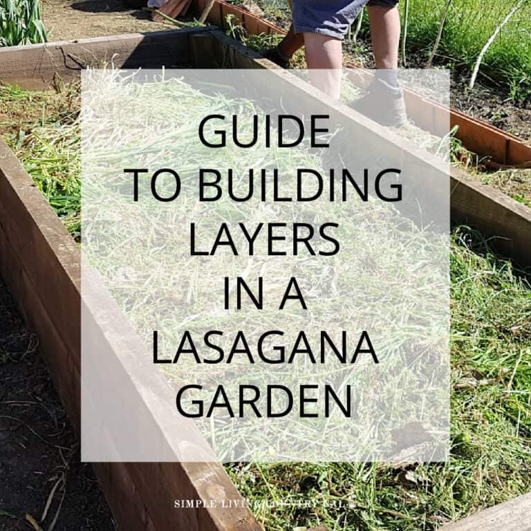 Lasagna Gardening Layers