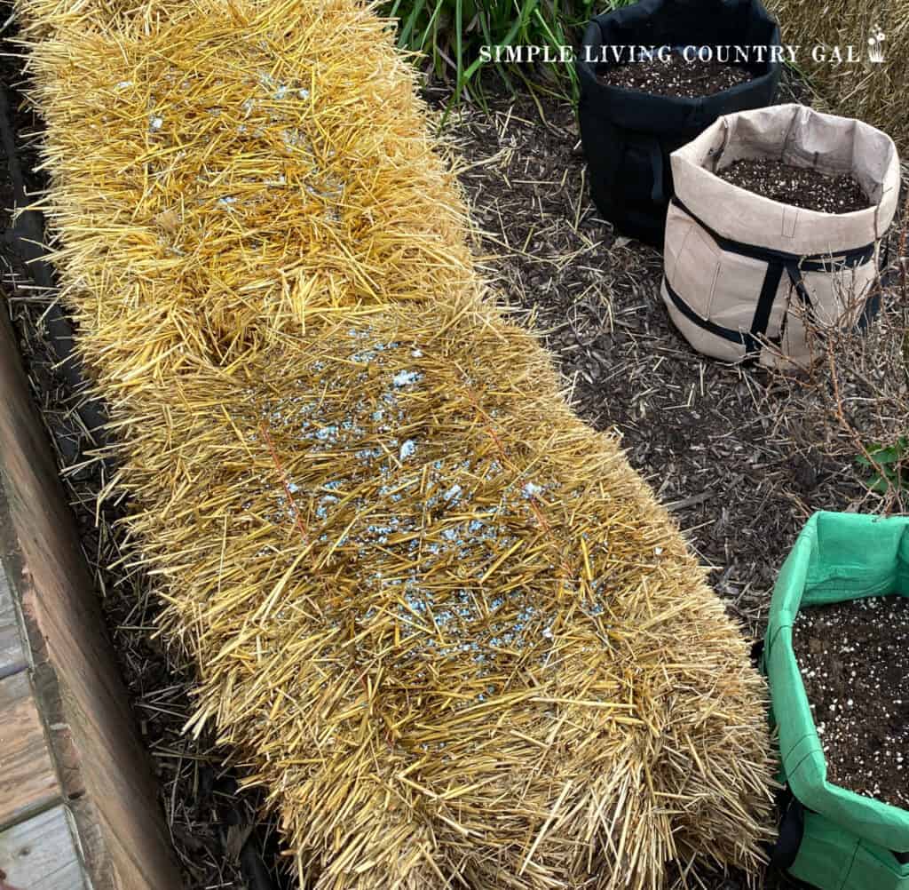 a close up of a straw bale with fertilizer on top