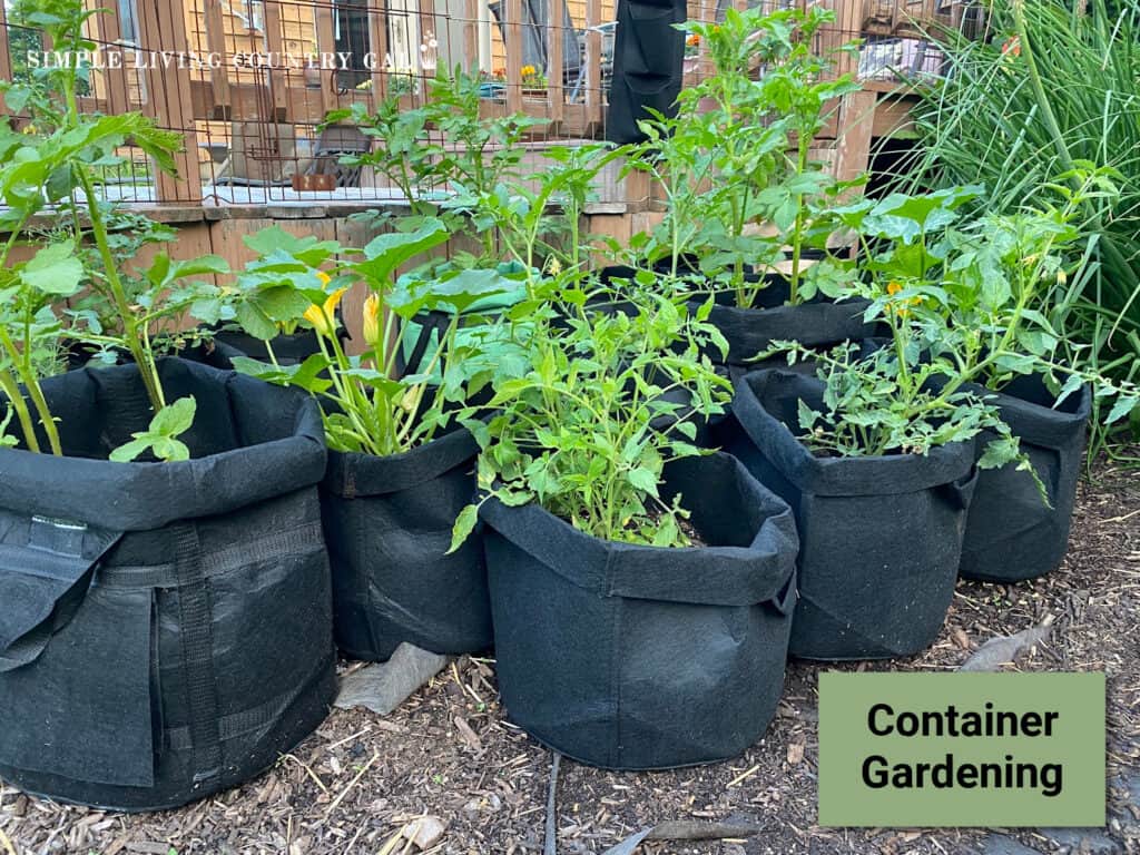 a collection of grow bags with plants growing inside