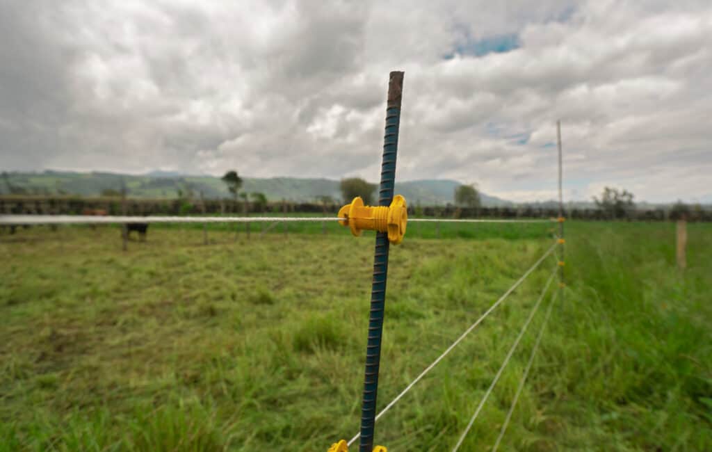 a fence stake with electric wire in front of a temporary pasture