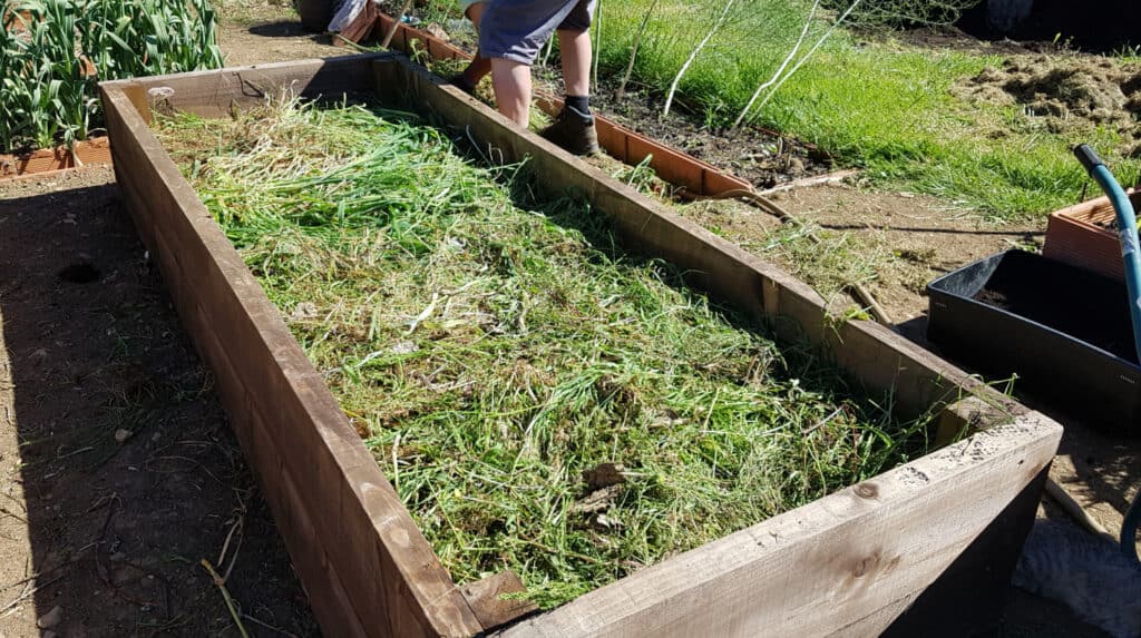 a raised bed with layers for lasagna garden method